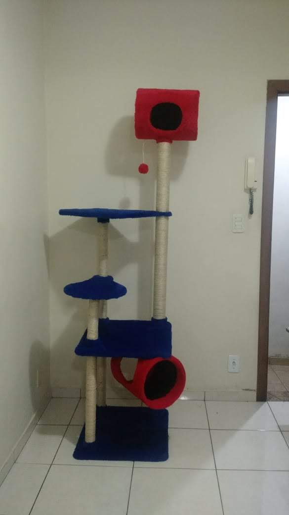 Torre Felina Colorida